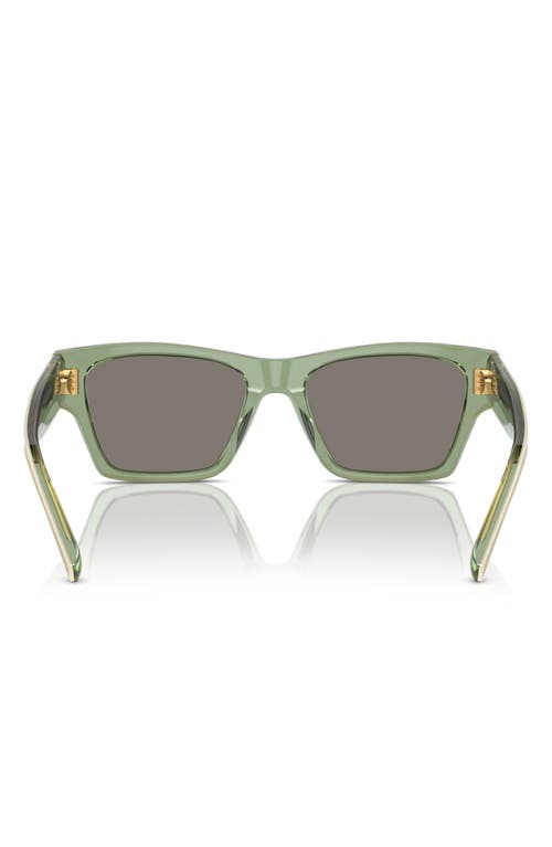 Shop Tory Burch 53mm Rectangular Sunglasses In Green