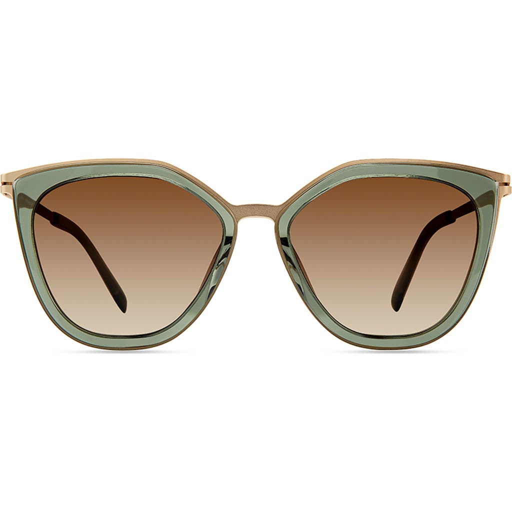 Modo 463 Sunglasses In Dark Forest