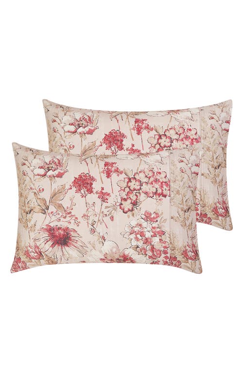 Southshore Fine Linens Skye Collection Extra Deep Cotton Sheet Set In Natural/red