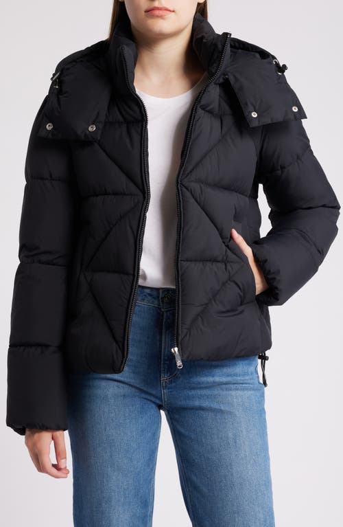 Shop Sam Edelman Crop Zip Puffer Jacket In Black