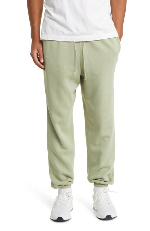 Core Organic Cotton Brushed Terry Sweatpants in Sage