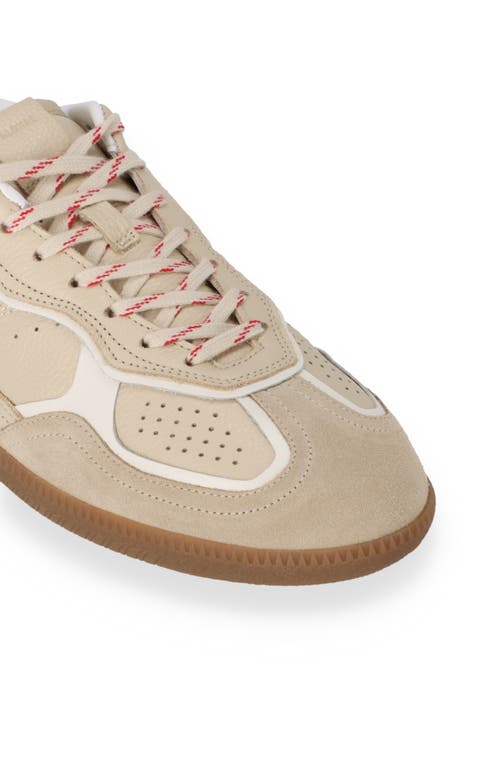 Alohas Tb.490 Rife Leather Low-top Sneakers In Cream