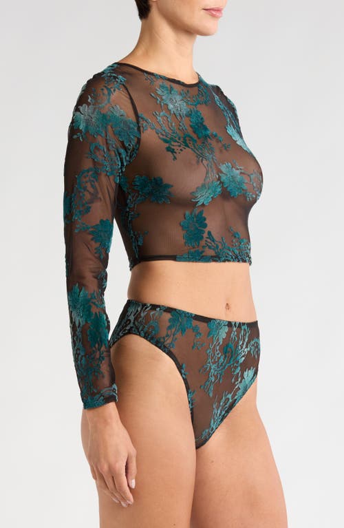 Shop Kilo Brava Floral Embroidered Mesh Long Sleeve Crop Top In Black Emerald