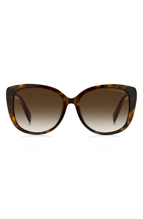 Marc Jacobs 57mm Gradient Cat Eye Sunglasses In Havana/brown