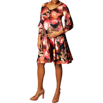 Tiffany Rose Pixie A-Line Maternity Dress, Blue