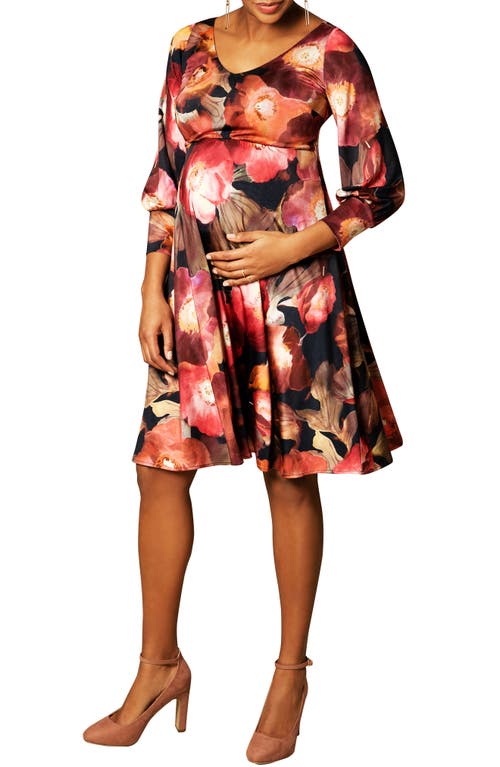 Pixie A-Line Maternity Dress in Dark Blooms