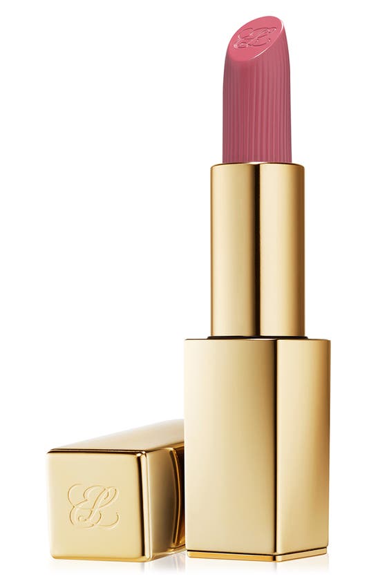 Estée Lauder Pure Color Matte Lipstick In 855 Risk It All