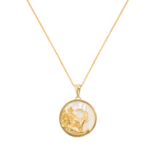 Freya Rose Zodiac Necklace In Capricorn