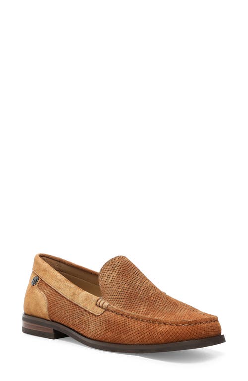 Tacie Reptile Embossed Leather Loafer in Cognac
