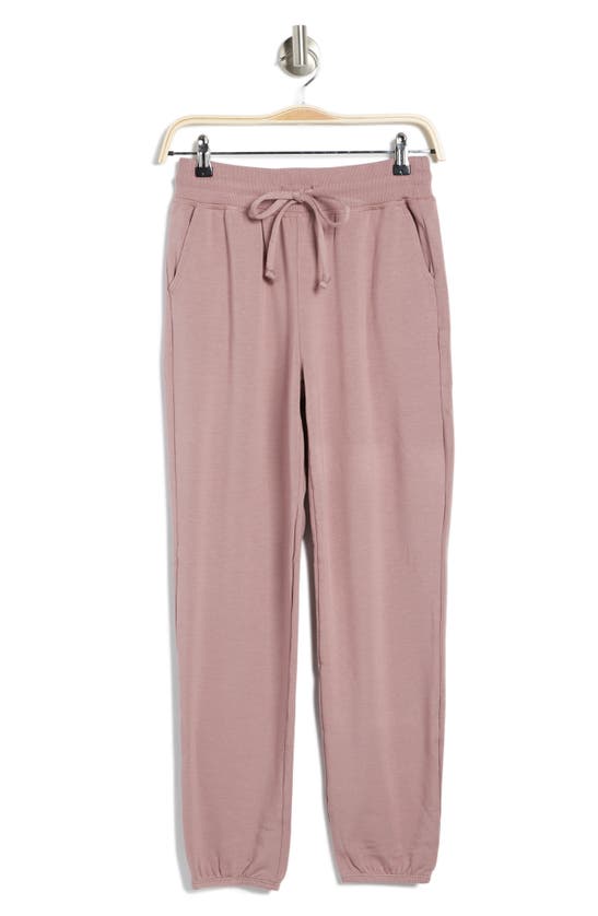 Beyond Yoga Plus Bopo Weekend Sweatpants In Mauve