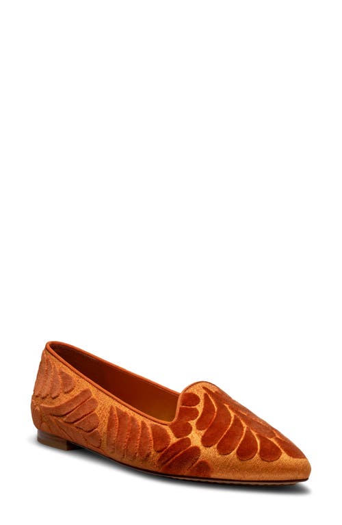 Birdies Sparrow Embroidered Pointed Toe Flat in Marigold Velvet 