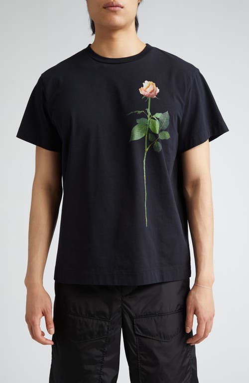 Rose Graphic T-Shirt in Black