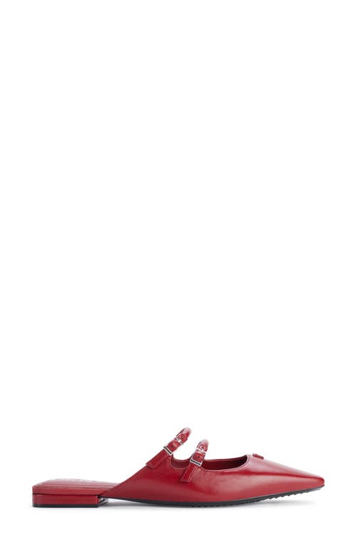 Dkny Cahana Mary Jane Pointed Toe Mule In Ruby Red