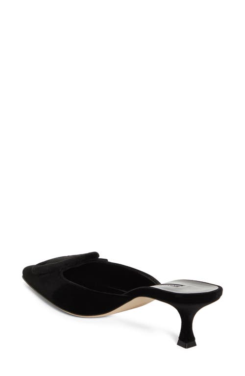 Manolo Blahnik 50mm Maysale Velvet Mules In Black