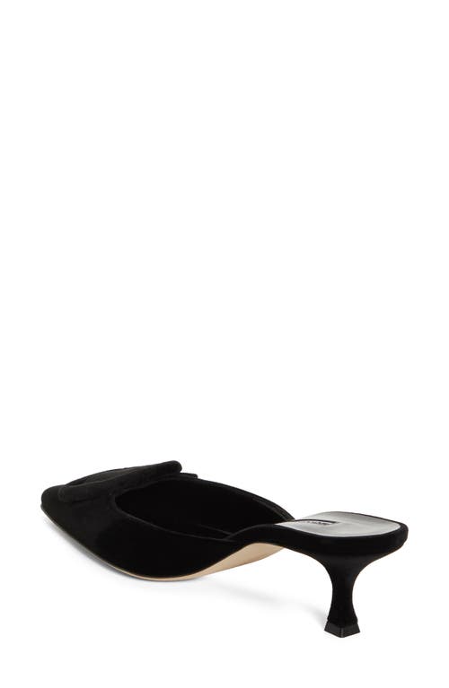 Shop Manolo Blahnik Maysale Buckle Pointed Toe Mule In Black