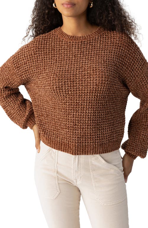 Shop Sanctuary Under The Stars Chenille Sweater In Rawhide