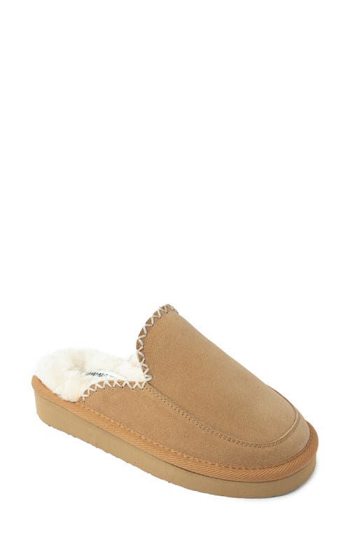 Shop Minnetonka Café Faux Fur Scuff Slipper In Cinnamon