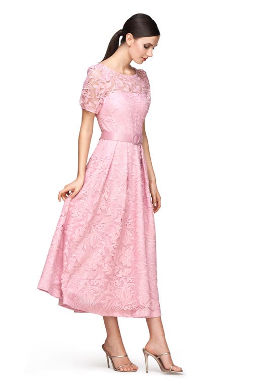 Shop Kay Unger Haisley Belted Lace Cocktail Dress In Pink Mauve