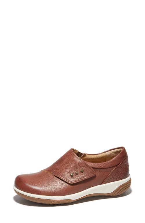 Halsa Footwear Hälsa Footwear Anna Sneaker In Dark Brown/light