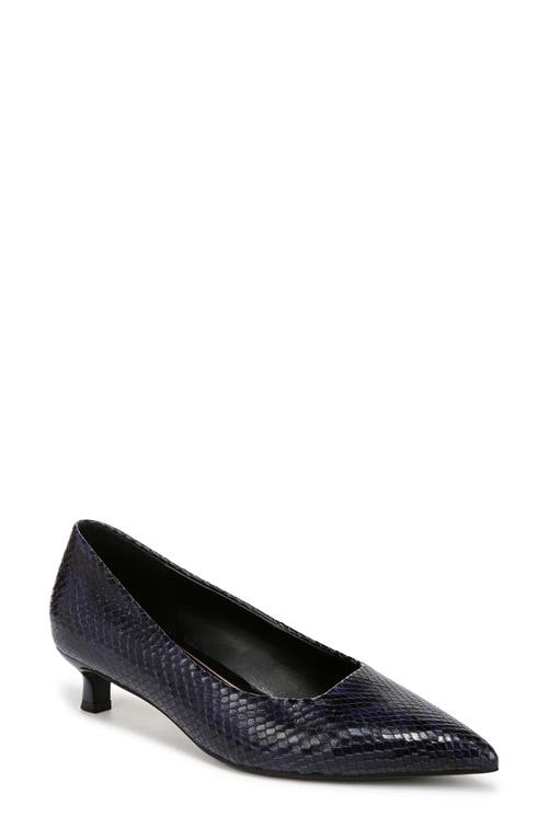 Shop Naturalizer Natalia Pointed Toe Kitten Heel Pump In Midnight Blue