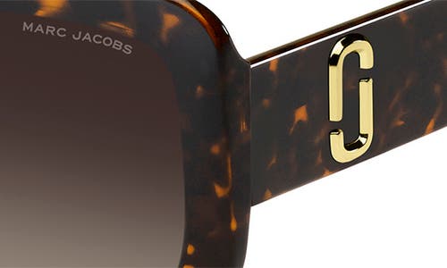 Marc Jacobs 53mm Gradient Square Sunglasses In Havana/brown Gradient
