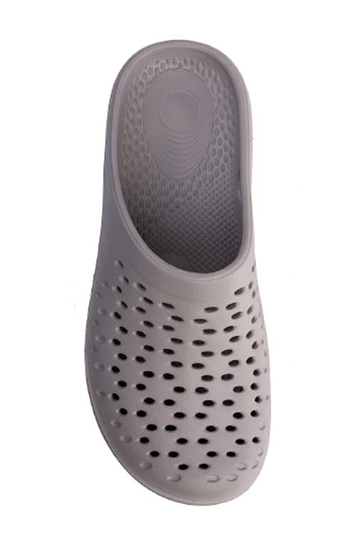 Shop Revitalign Fusion Vitality Clog In Grey