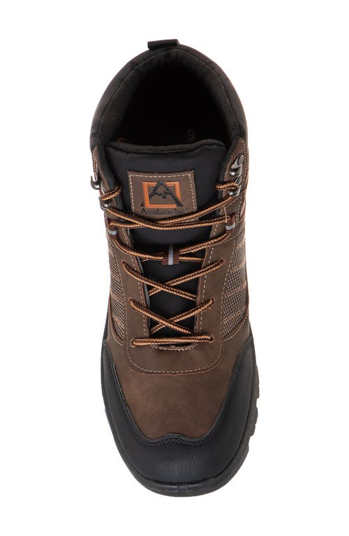 Avalanche Hiking Boot In Brown