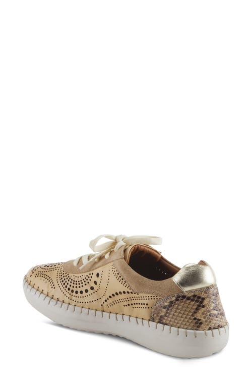 Shop Spring Step Jumilla Mixed Media Slip-on Sneaker In Beige