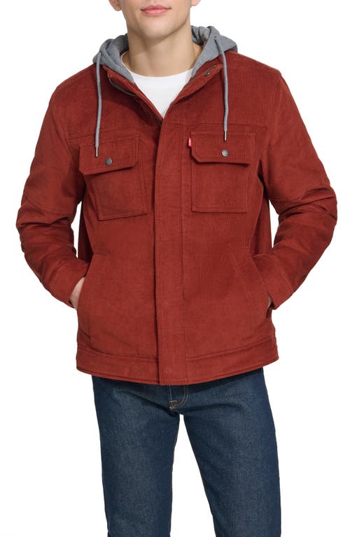 levi's Hooded Corduroy Jacket in Rust 