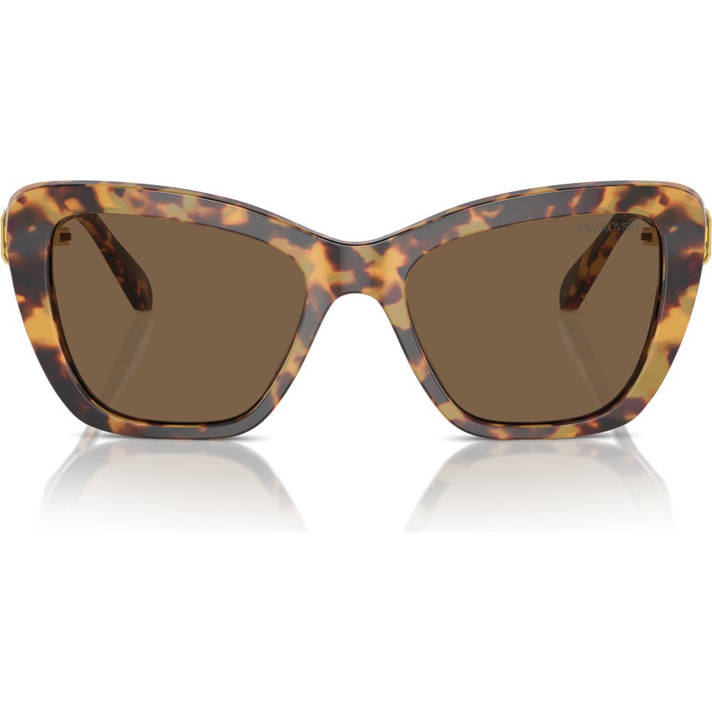 Swarovski 55mm Cat Eye Sunglasses In Brown