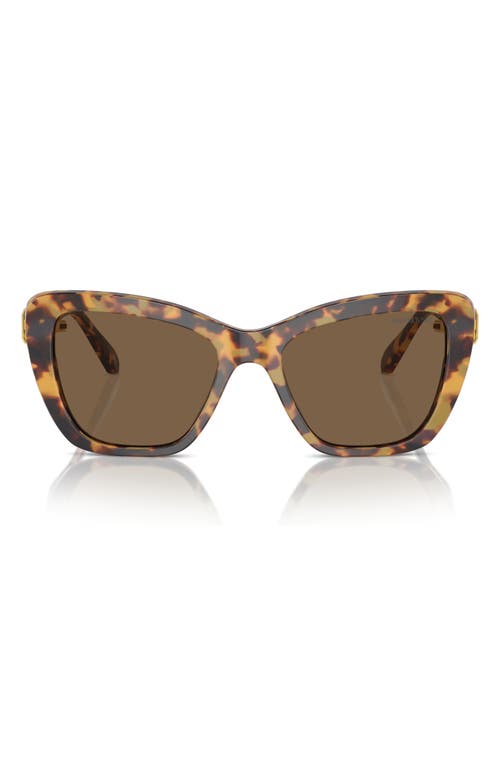 55mm Cat Eye Sunglasses in Dark Brown