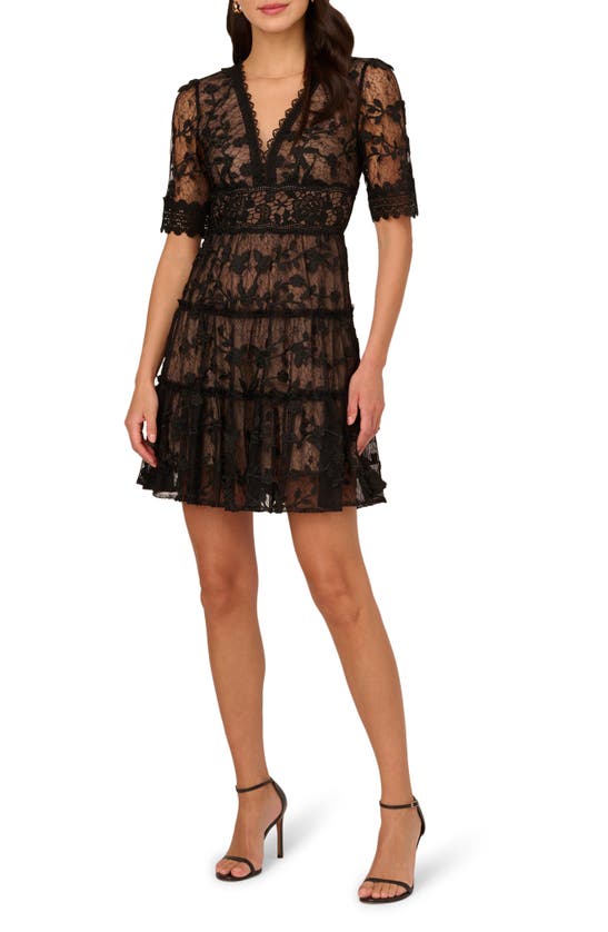 Shop Adrianna Papell Embroidered Lace Minidress In Black