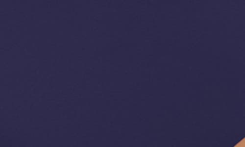 Trina Turk Monaco Side Tab Hipster Bikini Bottoms In Navy
