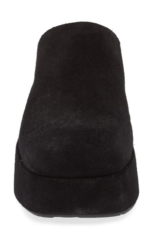 Chocolat Blu Hedia Platform Mule In Black Suede