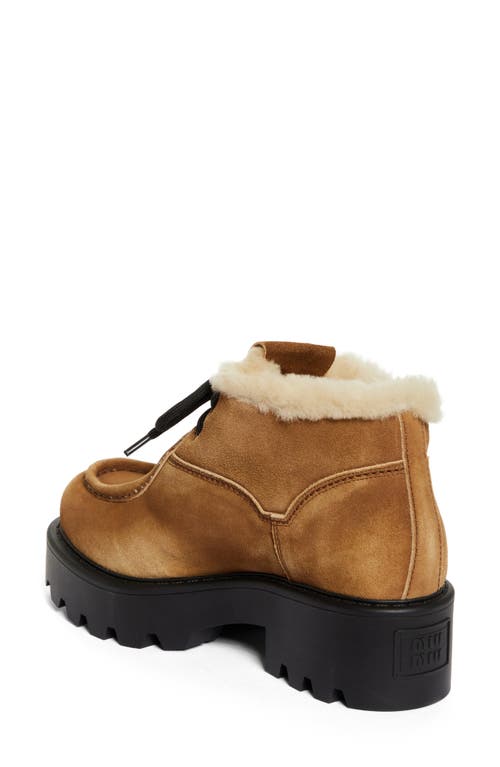 Miu Miu Suede Shearling Lace-up Chukka Booties In Cannella