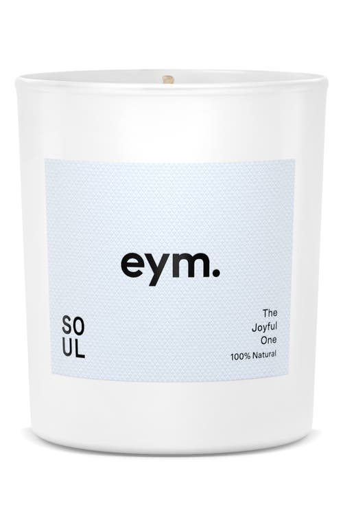 EYM NATURALS Single-Wick Standard Candle in Soul