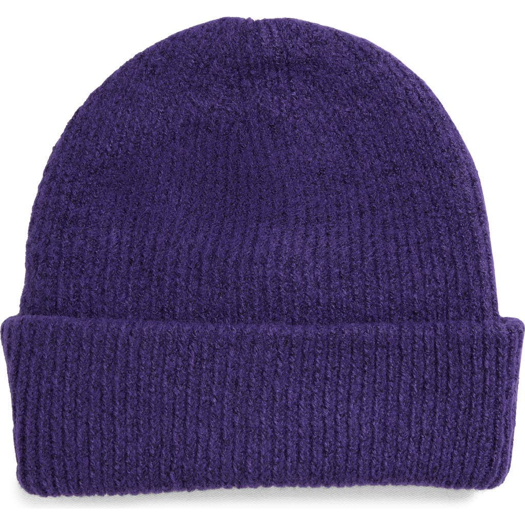 Tasha Basic Ribbed Knit Beanie In Purple