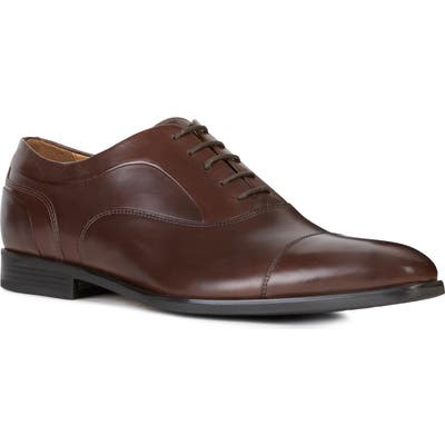 Geox New Life Cap Toe Oxford, Brown