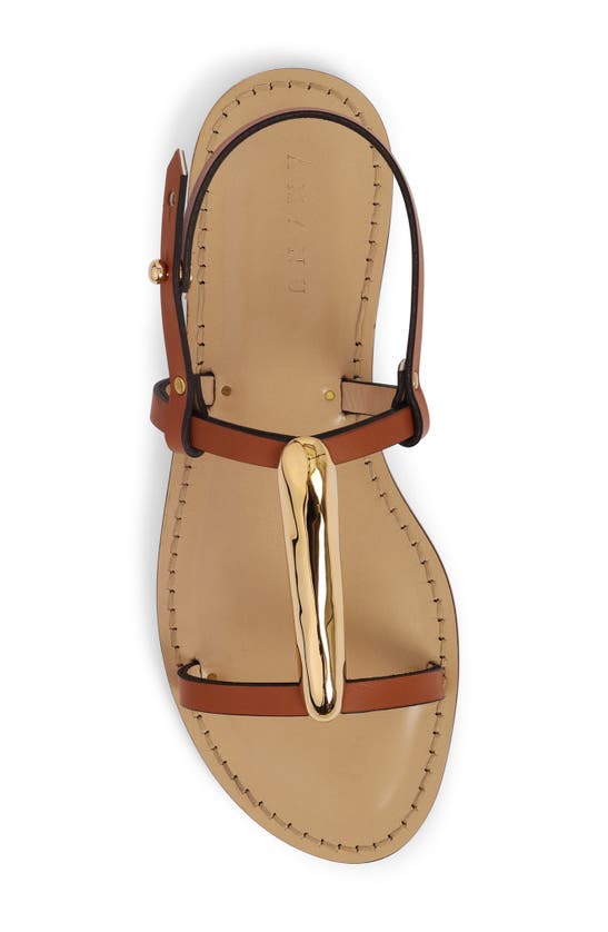 Amanu Kisumu 24k Gold Plate T-bar Sandal In Cognac | ModeSens