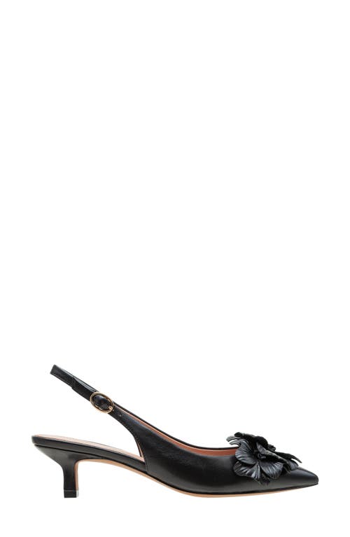 Shop Linea Paolo Castiel Slingback Pointed Toe Kitten Heel Pump In Black