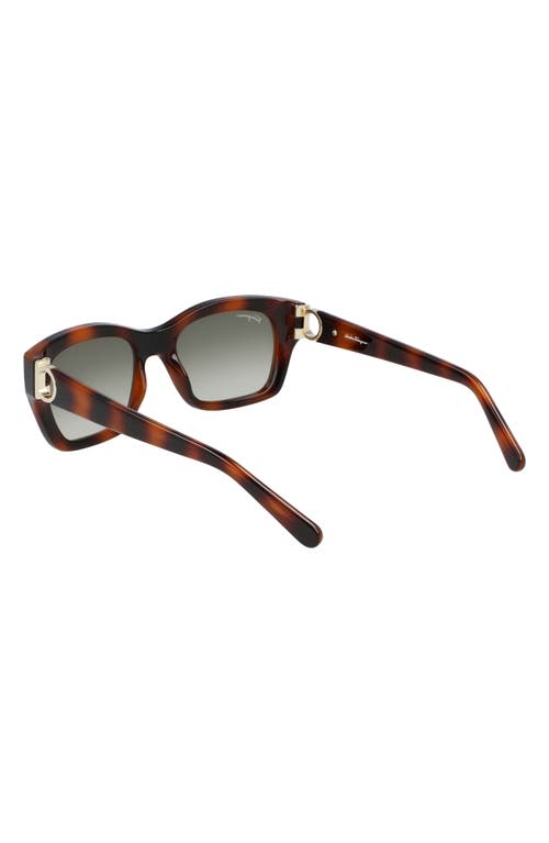 Shop Ferragamo 53mm Rectangular Sunglasses In Tortoise/khaki