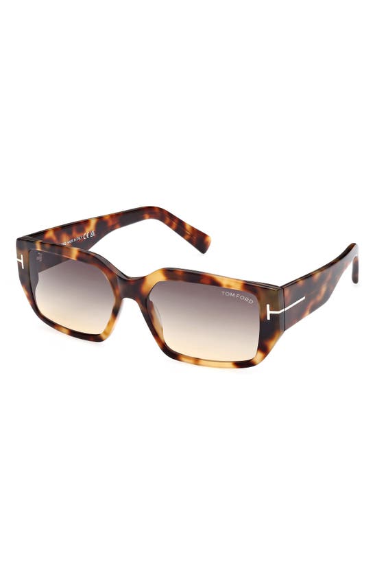 Tom Ford Andres 56mm Square Sunglasses In Coloured Havana / Smoke
