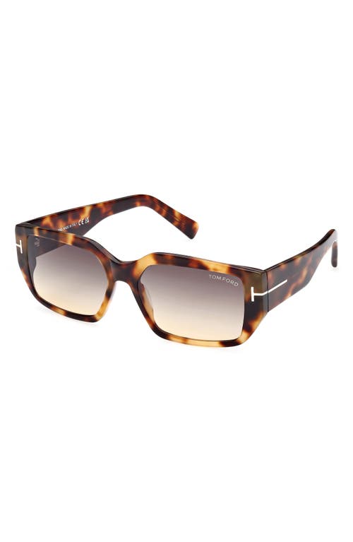 Tom Ford Andres 56mm Square Sunglasses In Coloured Havana/smoke