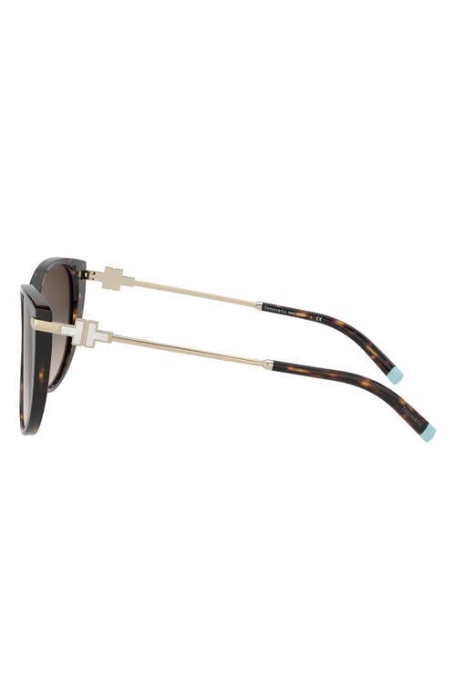Tiffany & Co Tf4178 Cat-eye Frame Acetate Sunglasses In Havana/brown Gradient
