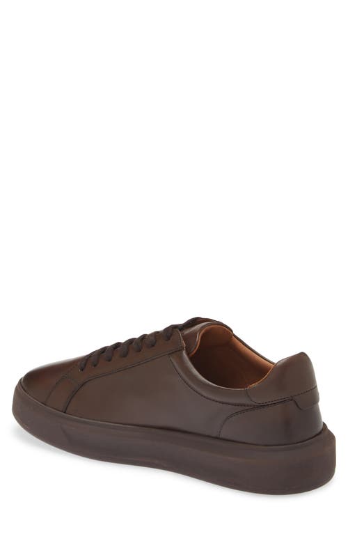 Allen Edmonds Foster Low Top Sneaker In Mahogany