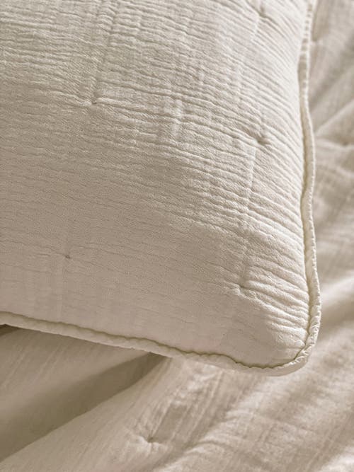 ANAYA ANAYA EASY COTTON GAUZE EURO PILLOW WITH DOWN ALTERNATIVE INSERT