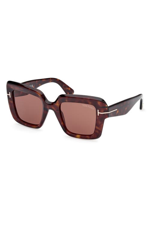 Shop Tom Ford Esme 50mm Square Sunglasses In Shiny Classic Havana/brown