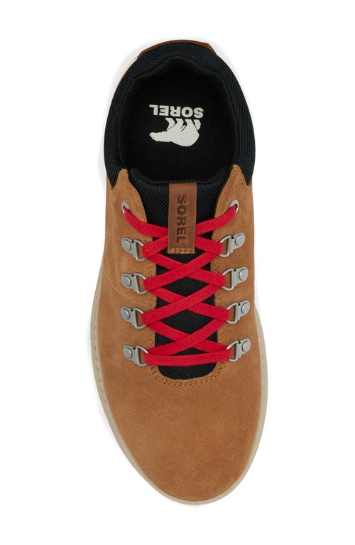 Sorel Men's Mac Hill Lite Hiker Low Waterproof Lace-up Sneakers In Elk/black