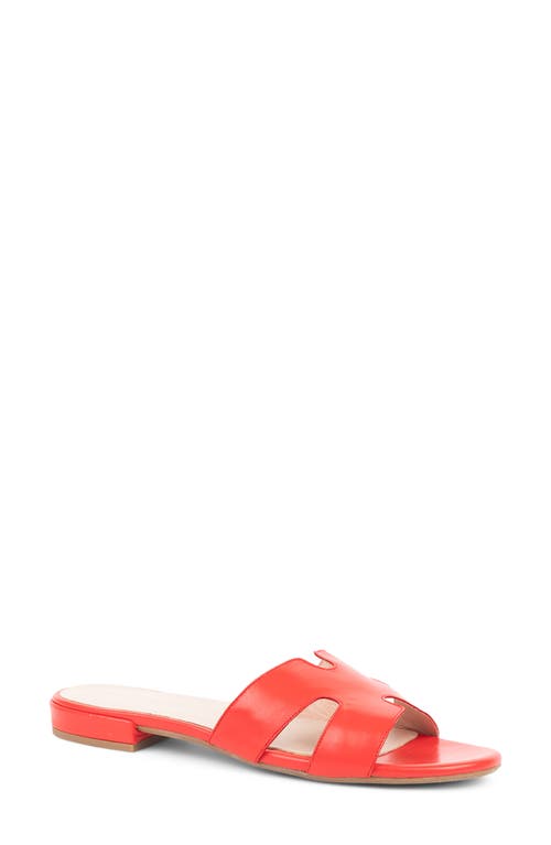 patricia green Hallie Slide Sandal Red Leather at Nordstrom,