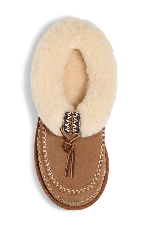 UGG(R) UGG(R) TASMAN ALPINE GENUINE SHEARLING CLOG 